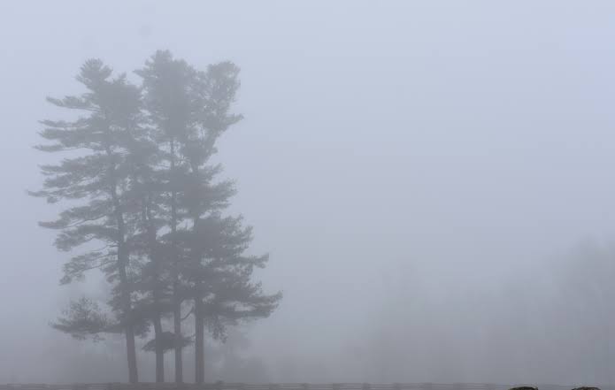 Erteń elimizdiń basym bóliginde tuman túsedi