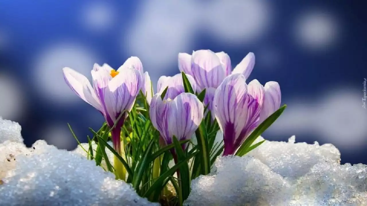 19 naýryzda el aýmaǵynda kún ashyq bolady