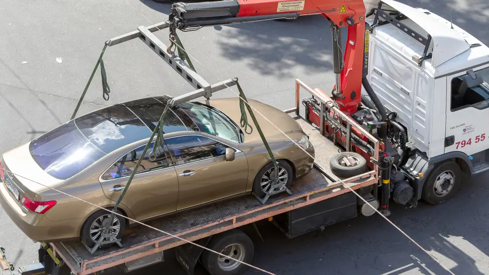 Endi elordada aıyppul turaqtary aqyly bolady