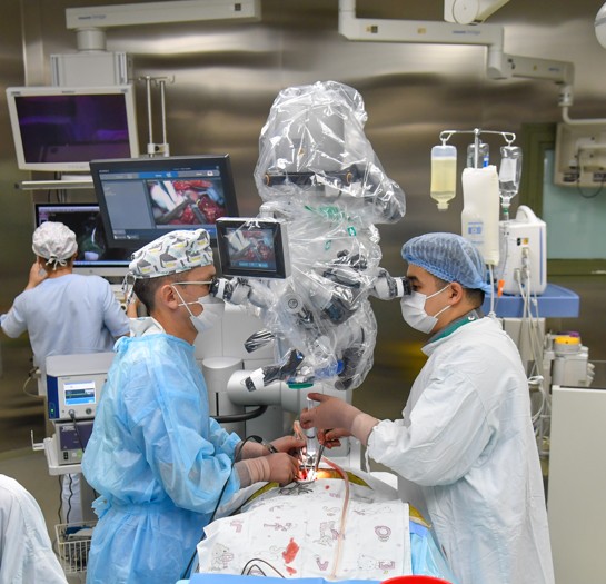 Dátke qýat jasandy búırek