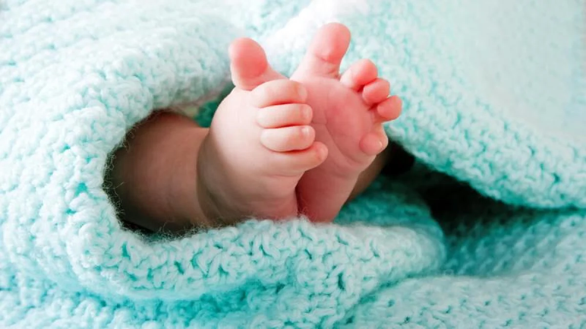 Qosshyda jol jıeginen náresteniń máıiti tabyldy