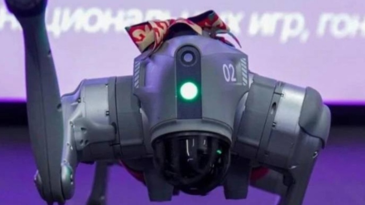 Jańa formattaǵy Naýryz merekesi: Robot-kókpar el turǵyndaryn tańǵaldyrdy