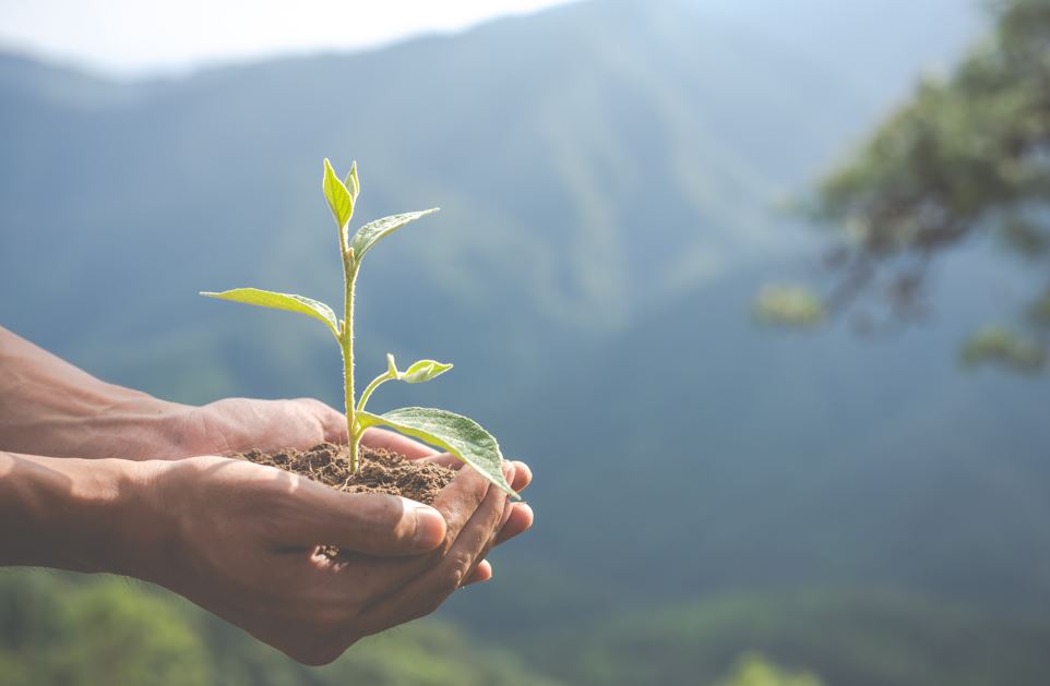Ulttyq bilim akademııasy ekologııalyq bilim standartyn ázirlep jatyr