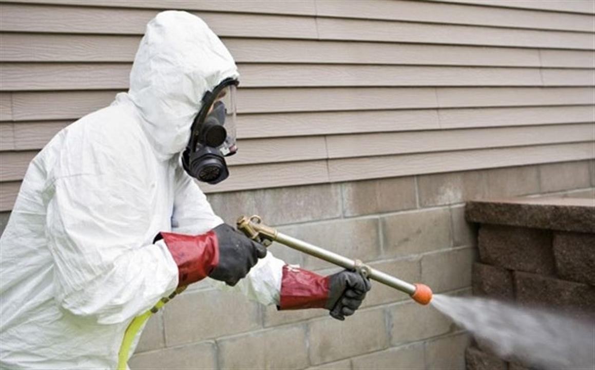 Astanada kemirgishterge qarsy kóktemgi kúres naýqany bastaldy