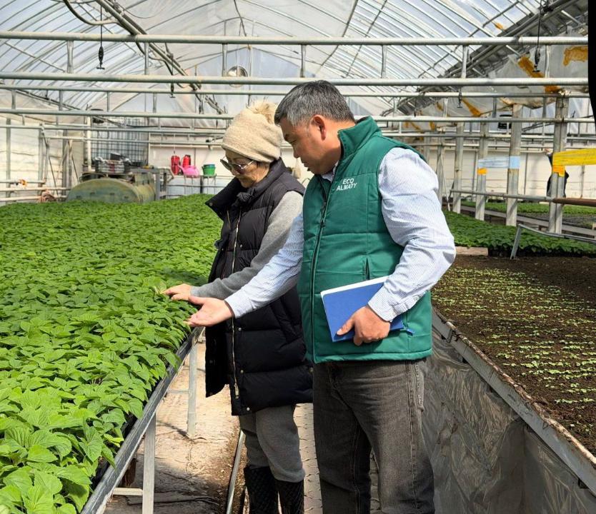 Gúlzarlar aýmaǵy 77%-ǵa ulǵaıady: Bıyl Almatyda qandaı gúlder egiledi?