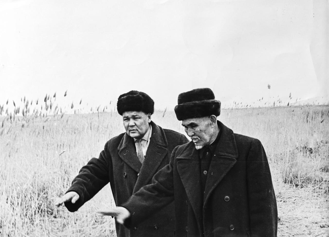 Nókersiz júrgen, nóserge tózgen