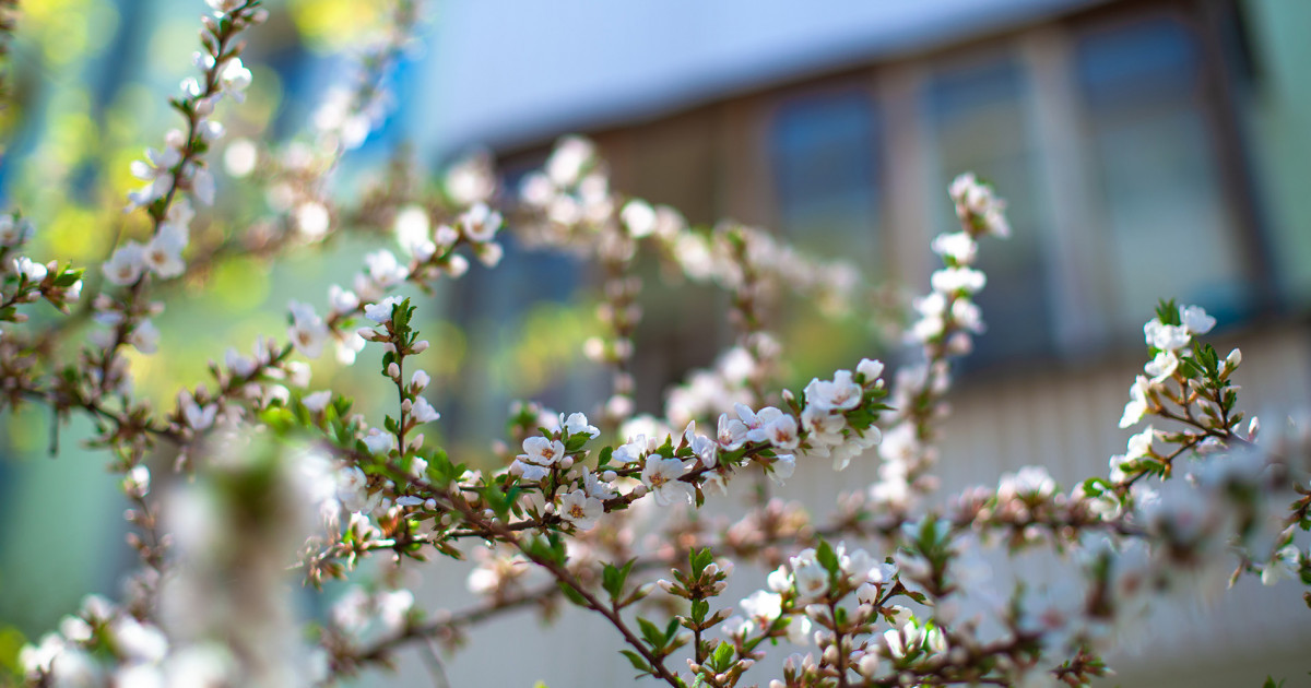 Shańdy daýyl, naızaǵaı jáne órt qaýpi: 31 naýryzǵa arnalǵan aýa raıy boljamy