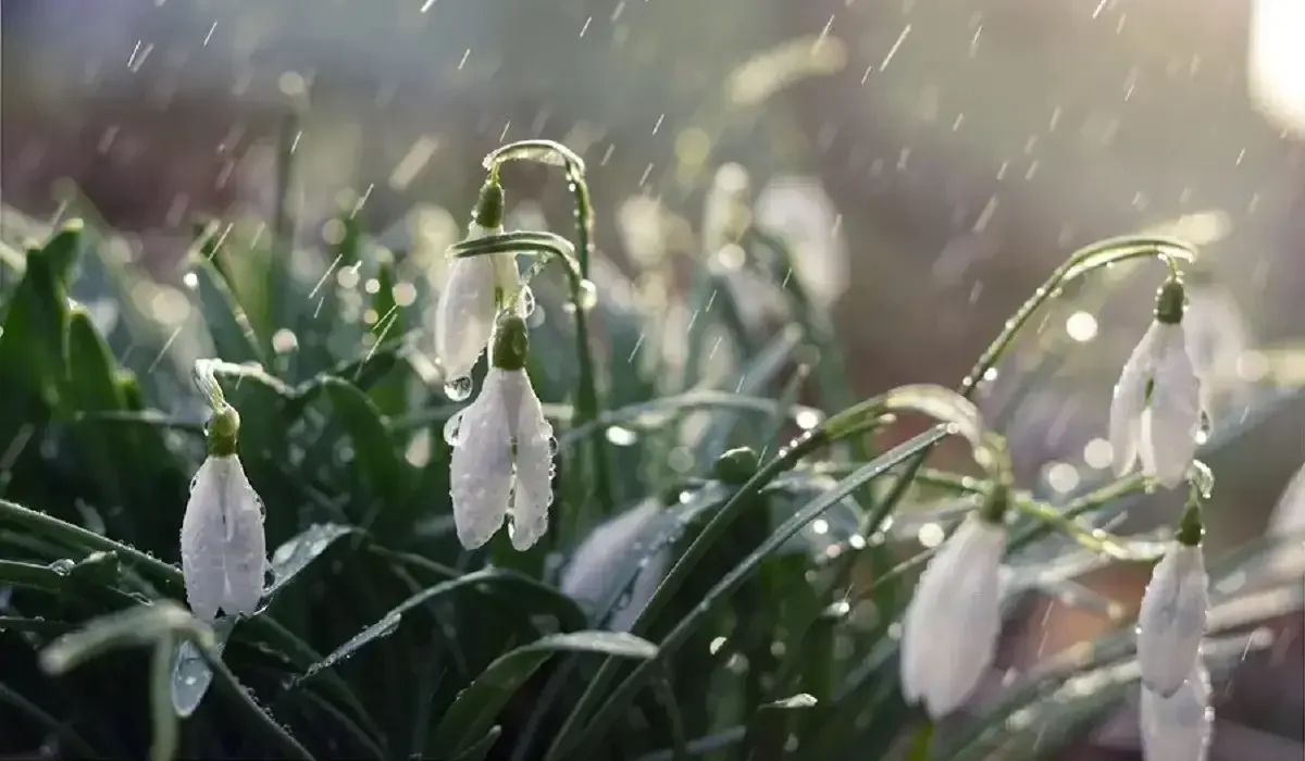 Elimizdiń basym bóliginde daýyldy eskertý jarııalandy