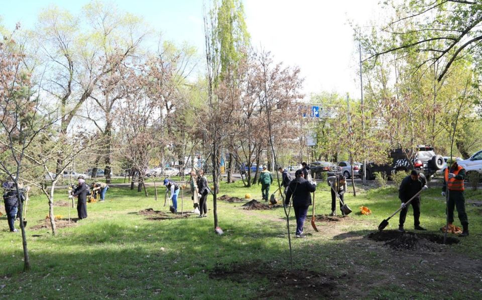 «Taza Qazaqstan»: Bıyl Almatyda 550 myńnan astam aǵash otyrǵyzylady