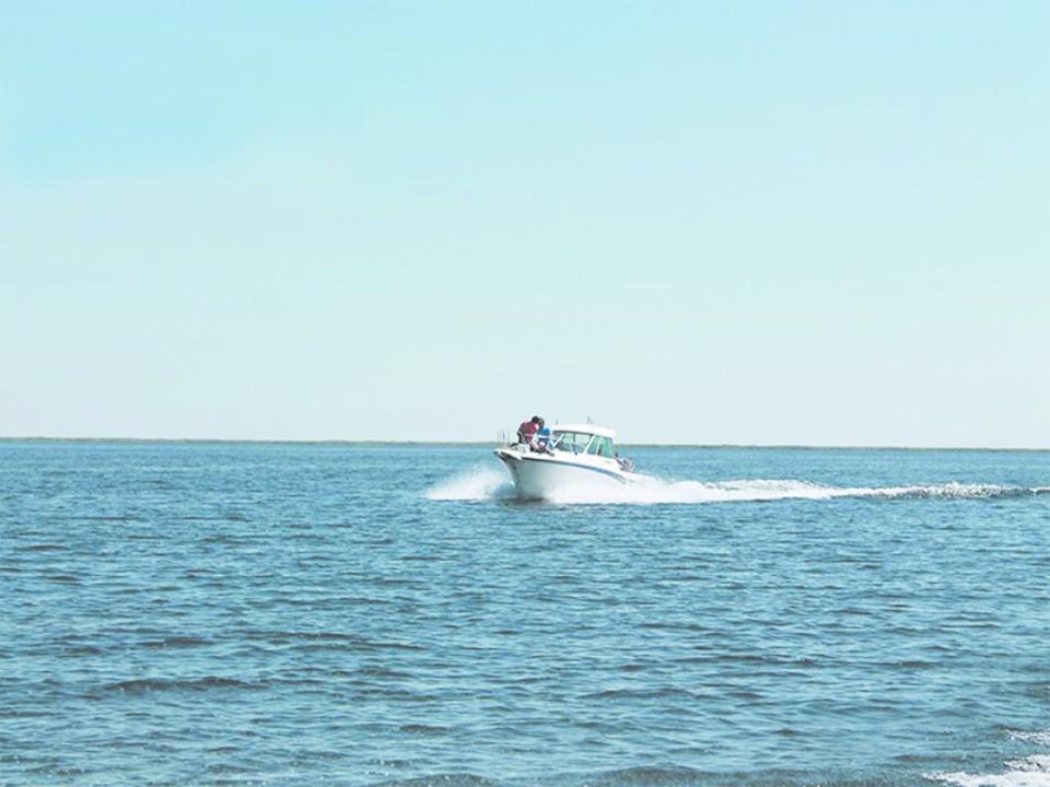 Balqash kóli jaǵalaýyndaǵy jer ýchaskeleri ınvestorlarǵa ashyq aýksıon arqyly usynylady