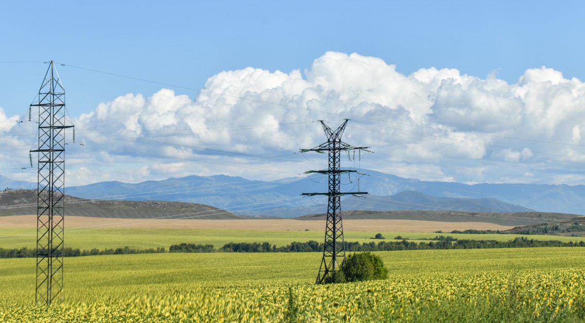Importtan arylý múmkindigi