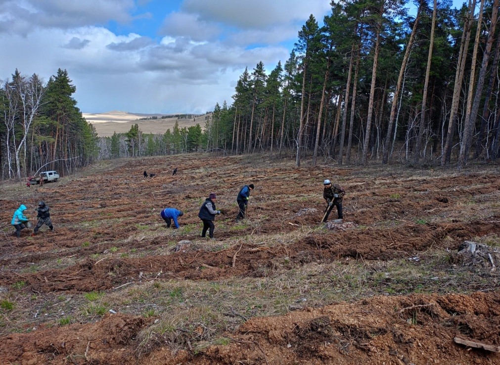 Kókshe kóshetimen kórikti