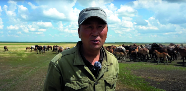 Japandaǵy jalǵyz úıdiń tiregi