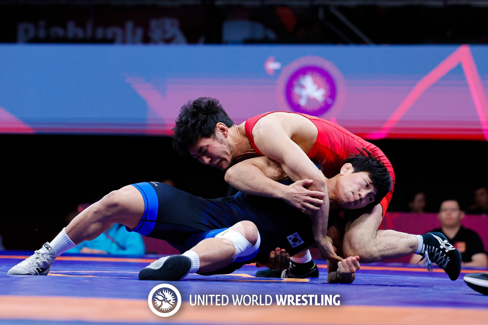 Grek-rım kúresinen Azııa chempıonaty: Búgin bozkilemge kimder shyǵady?