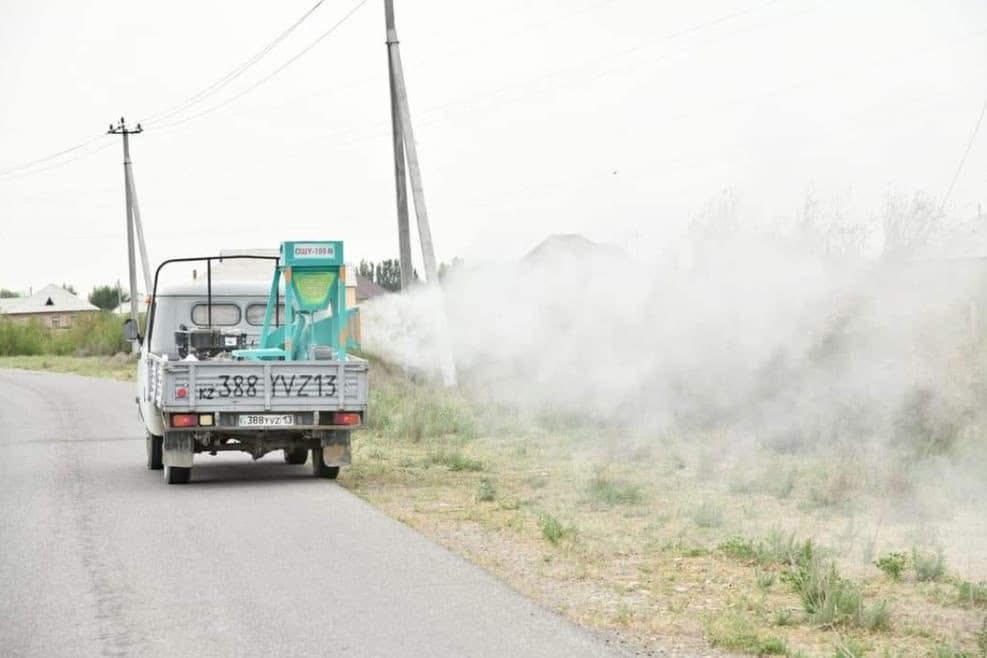 Shegirtkege qarsy kúres qarqyn aldy