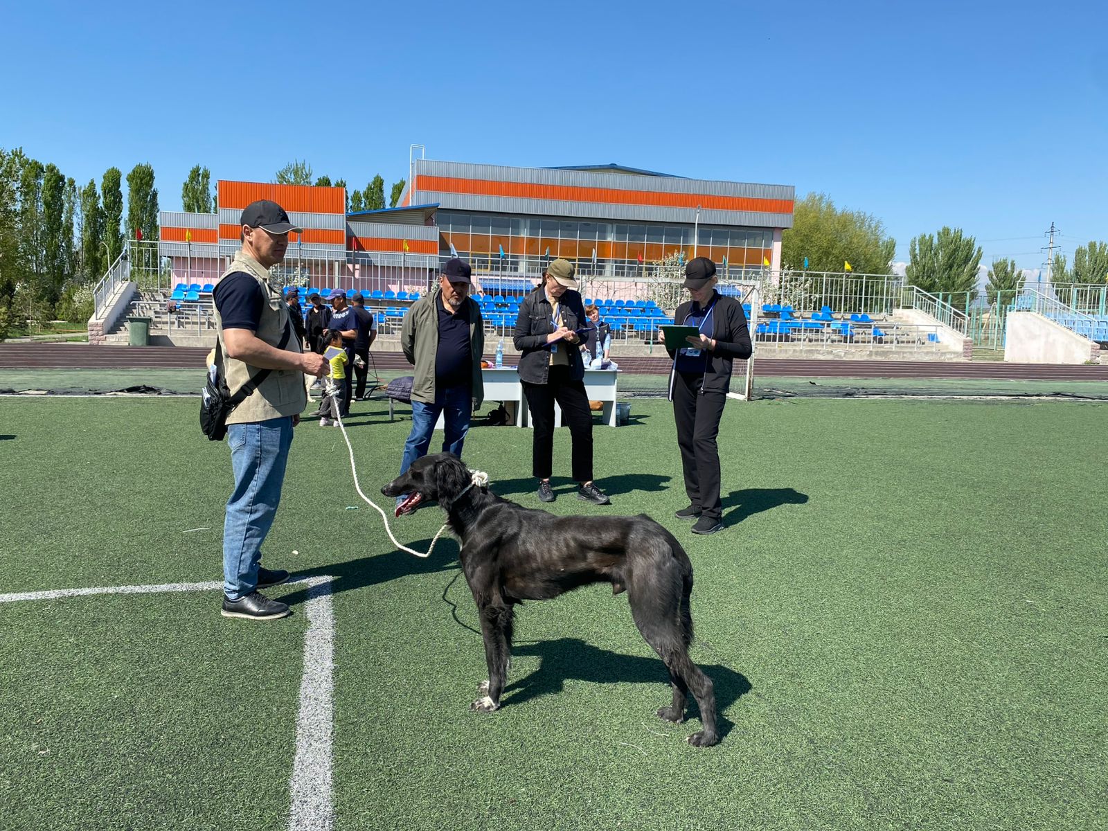 Eki oblysta tazy tuqymyn anyqtaýǵa arnalǵan baıqaý ótti