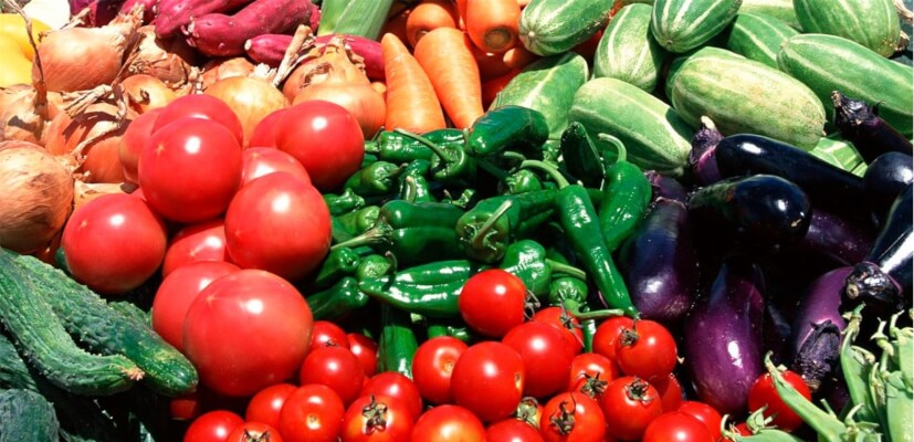 Jemis-kókónisti óńdeýdiń jańa tehnologııasy ázirlendi