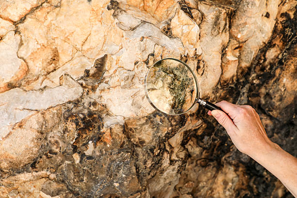 Túrik kompanııalary eldegi munaı-gaz qorlaryn barlaýǵa kómektespek