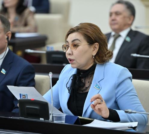 Sırflyq servıs: Depýtat «táýelsiz qyzmetker» mártebesin bekitýdi usyndy