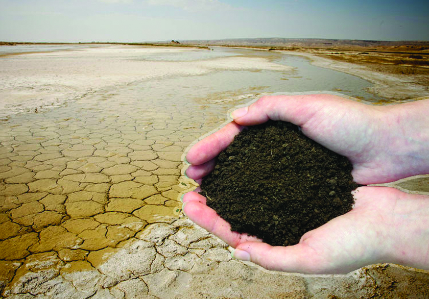 Astanada sarapshylar jerdiń tozýyn tejeıtin ǵylymı tásilderdi talqylady