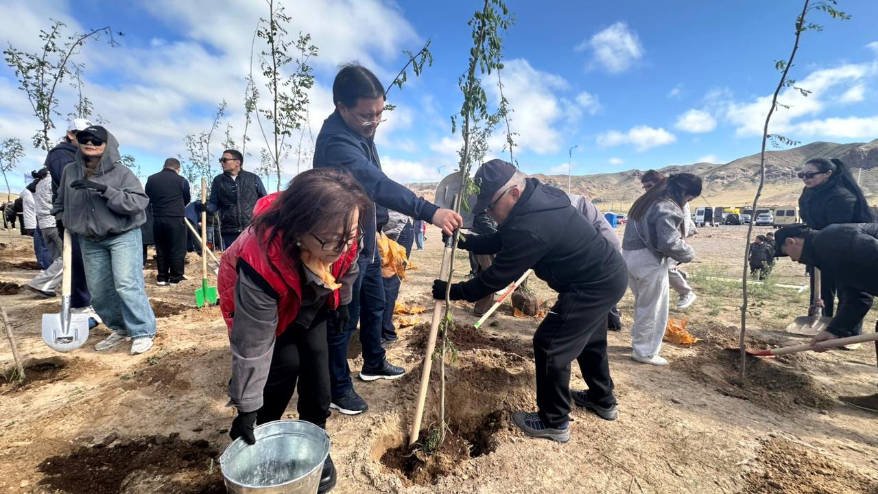 Kóshpendiler qalashyǵynda 500 túp aǵash egildi