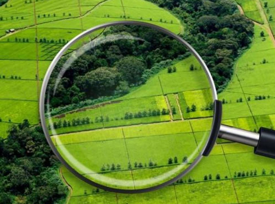 Atyraý oblysynda jer ýchaskeleri memleketke qaıtaryldy