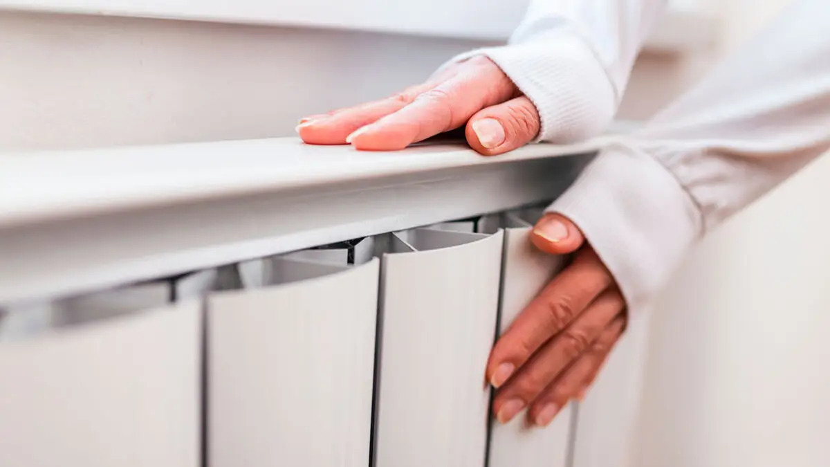 Elordada jylý berý maýsymy aıaqtaldy