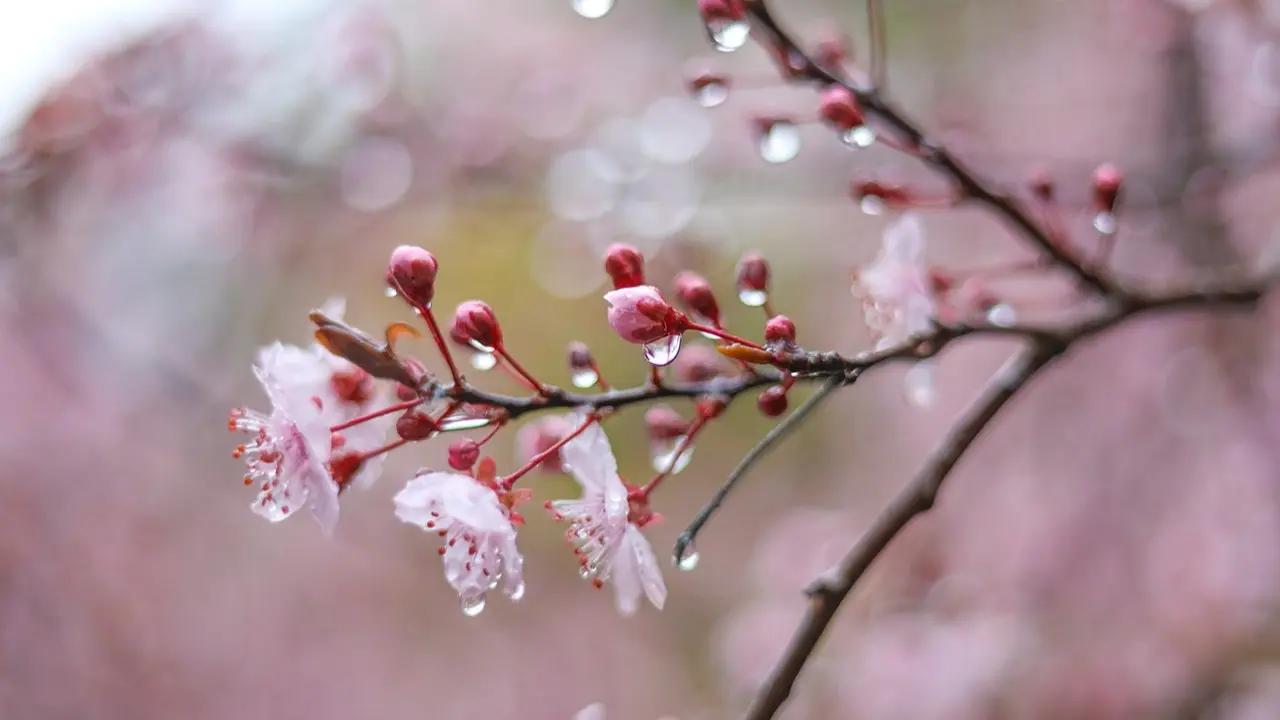 Elimizdiń basym bóliginde aýa raıyna baılanysty eskertý jarııalandy