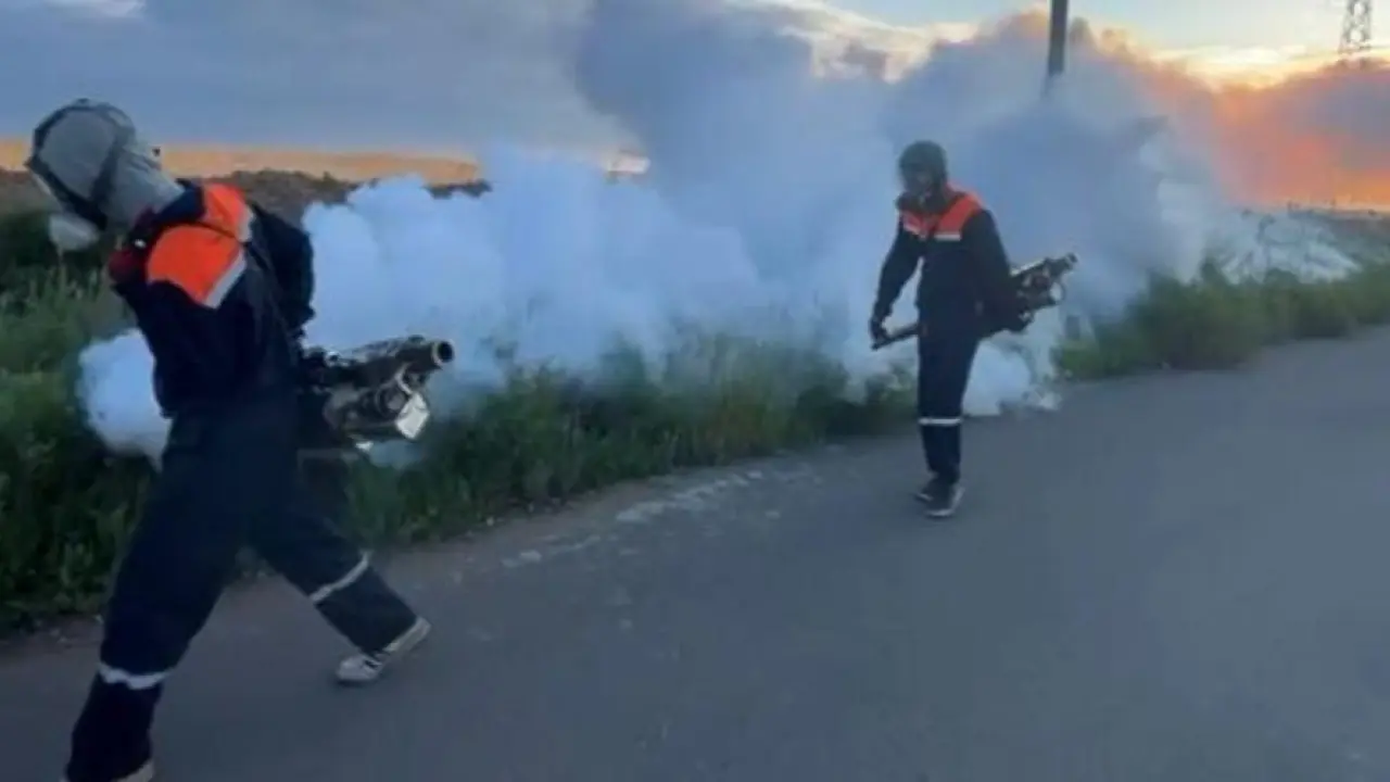 Astanada masa men shybyn-shirkeıge qarsy kúres kúsheıtildi