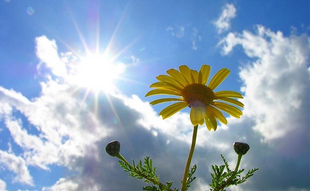 Soltústikte jel kúsheıip, ońtústikte kún ysıdy: 25 sáýirge arnalǵan aýa raıy boljamy