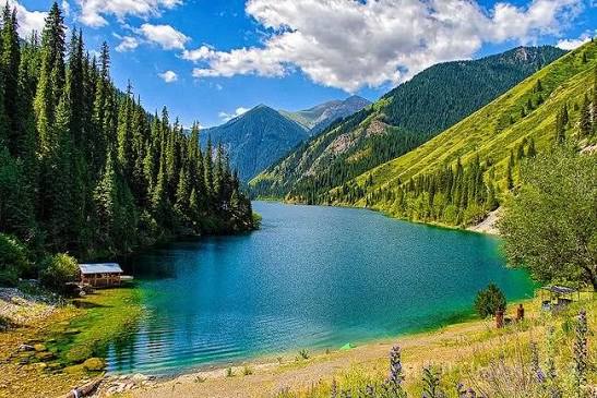 Kólsaıdaǵy oqys oqıǵa: Týrıstik mıkroavtobýs betkeıden qulap ketti