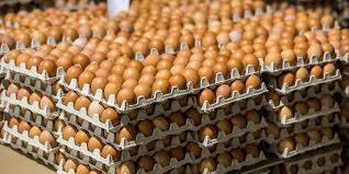 Qazaqstan jumyrtqa ımportyna shekteý qoıdy: Naryqta otandyq ónim úlesi artty