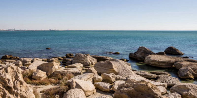 Kaspııde bir aıda 20 ret jer silkindi