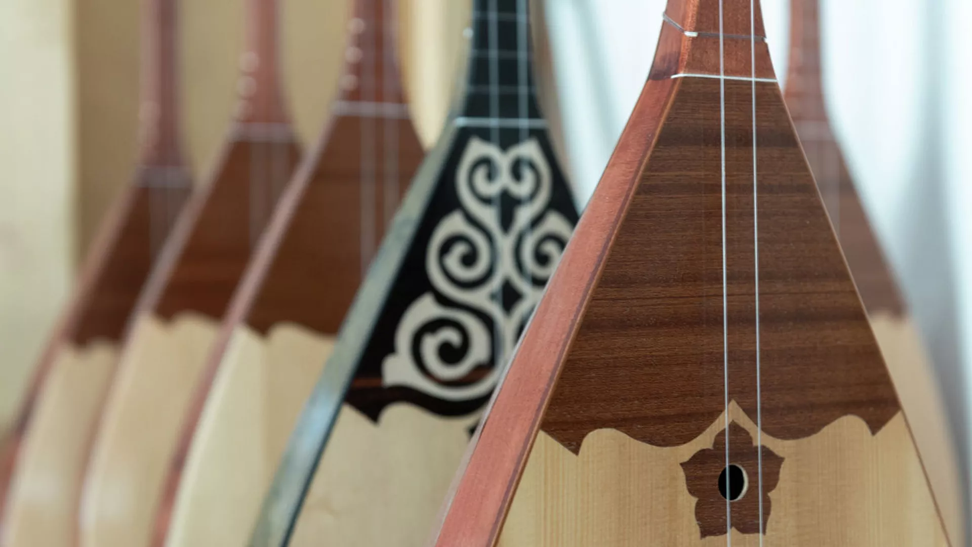 Endi dombyrany ushaq bortynda alyp júrýge bolady