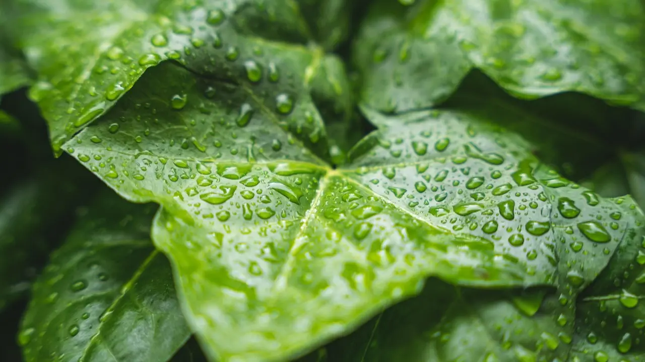 1 mamyrda Qazaqstanda aýa raıy kúrt qubylady