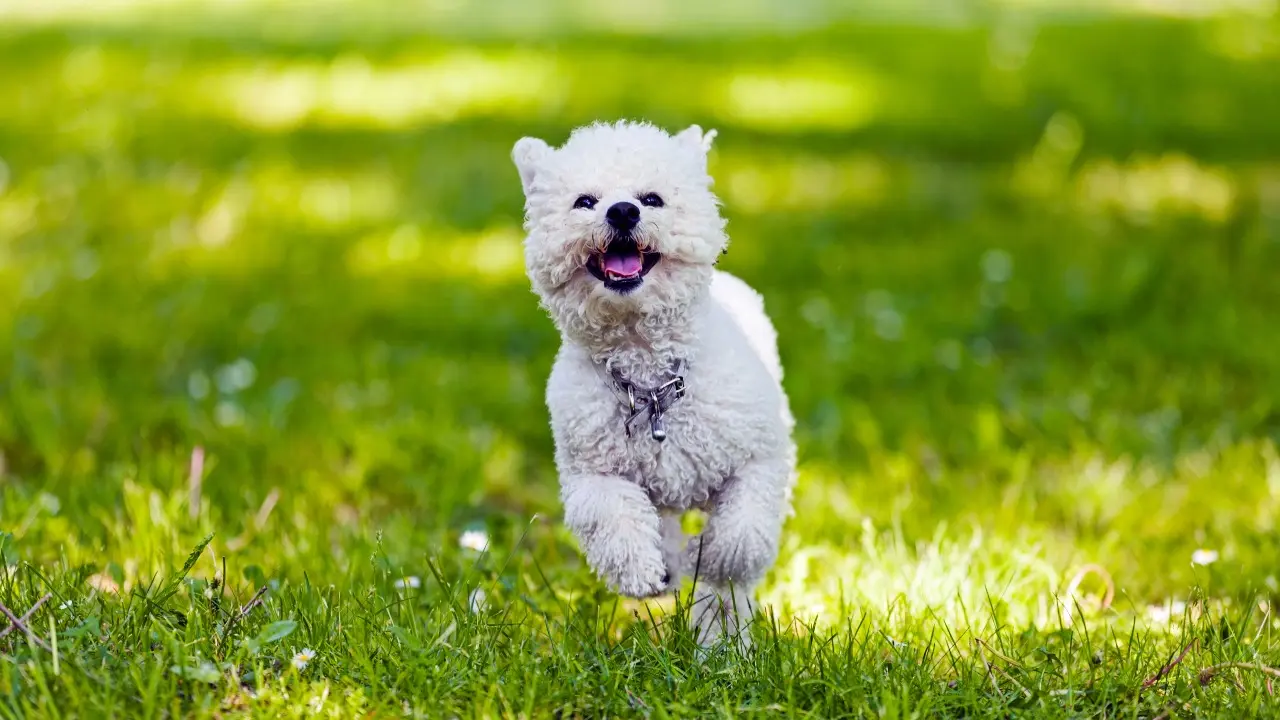 Aptap ystyq, nóser, burshaq: Mamyr aıynda aýa raıy qubylmaly bolady
