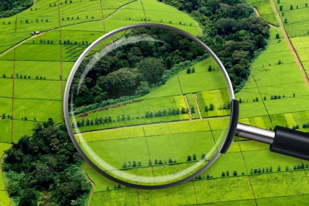 Qazaqstanda 14,8 mln gektar jer memleket menshigine qaıtaryldy