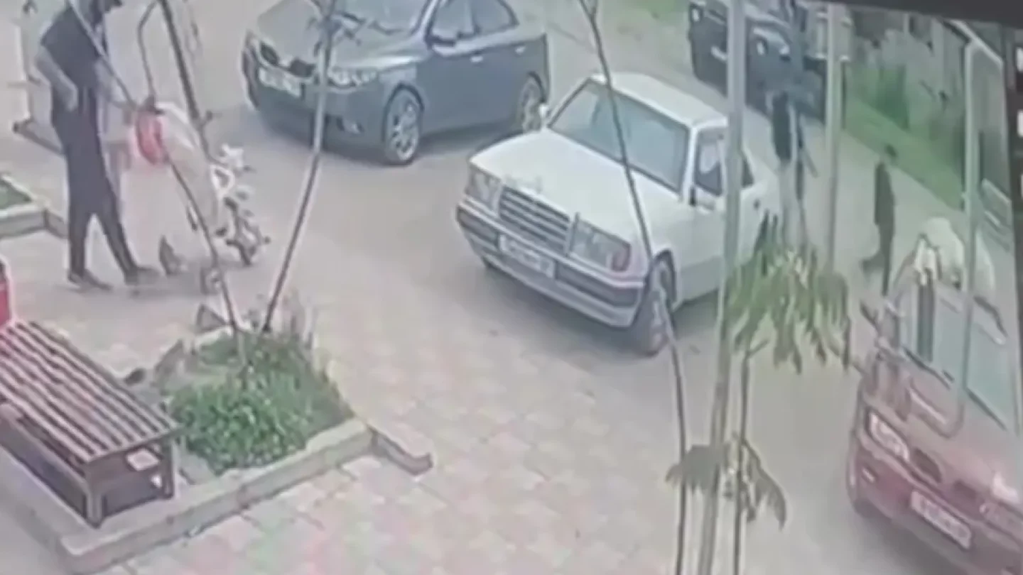 Almaty oblysynda jasóspirim 12 jastaǵy balany qaǵyp ketti