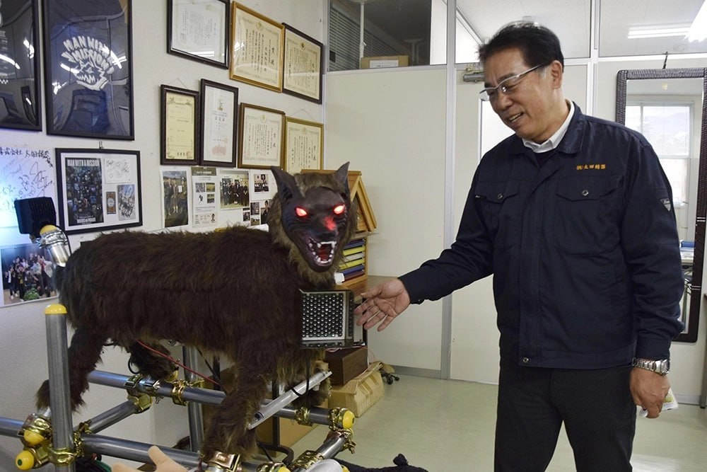 Fermerlerdiń jerlerin aıýlardan qorǵaıdy: Japonııada robot-qasqyrlar paıda boldy
