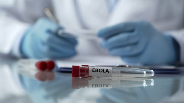 Afrıkada Ebola vırýsyna baılanysty tótenshe jaǵdaı jarııalandy