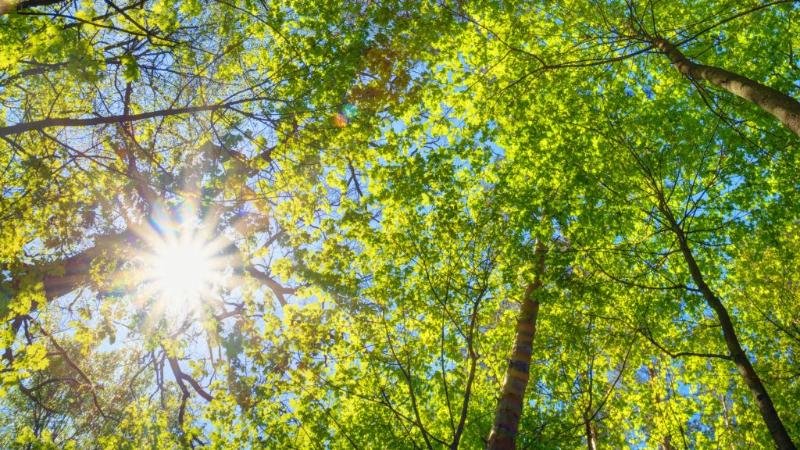 Syrtqa kóp shyqpaǵan jón: Búgin tórt qalada qolaısyz meteojaǵdaı kútiledi