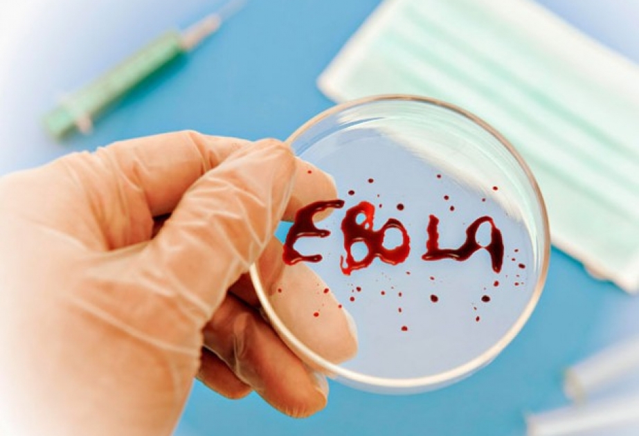Afrıkada Ebola indetinen 88 adam qaza tapty