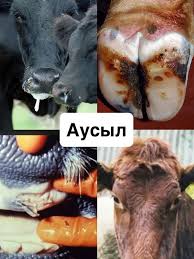 Qazaqstan aýsyl aýrýynan taza memleket atandy