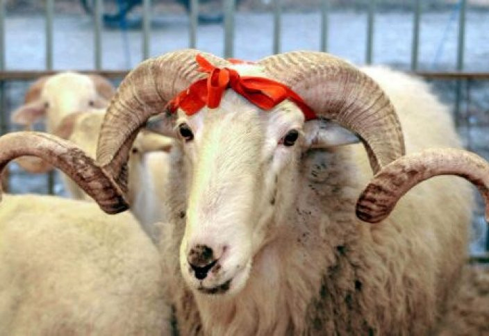 Qurban aıt qarsańynda qazaqstandyqtarǵa eskertý jasaldy