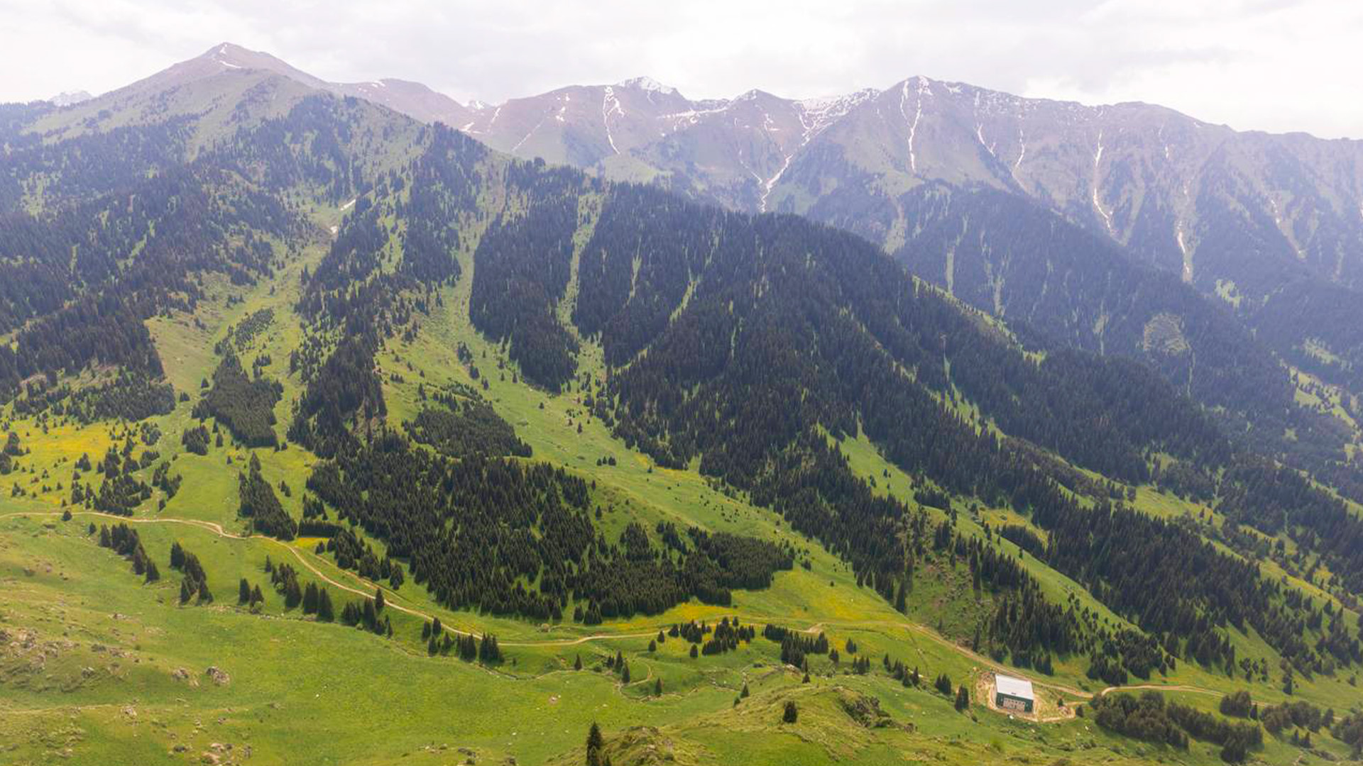Almaty Superski: Kókjaılaýda qaýipsizdik qalaı qamtamasyz etiledi?