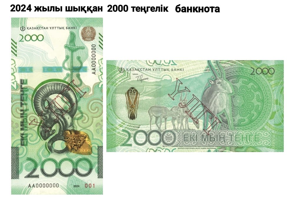 banknota1