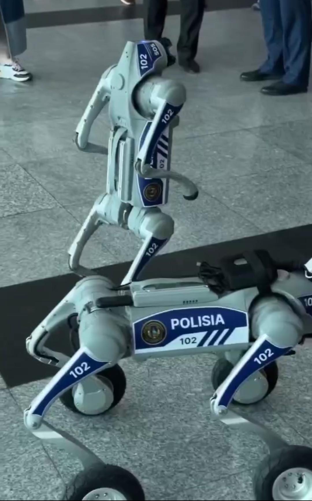 Aqtaýda qoǵamdyq qaýipsizdikti robot-ıtter kúzetedi
