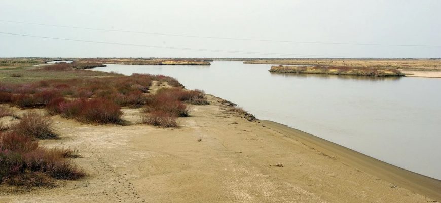 Qyzylorda oblysynda joǵalyp ketken 6 jasar qyzdyń máıiti tabyldy
