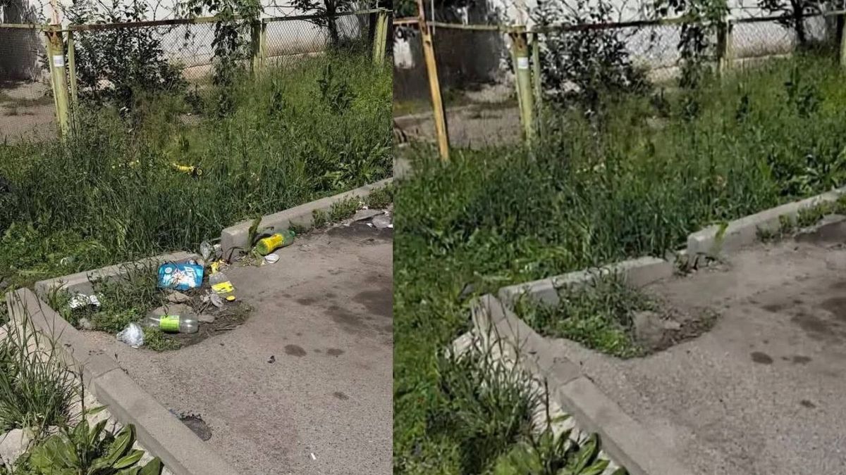 Almatyda qoqysty JI arqyly tazalaǵan ákimdik qyzmetkeri jumysynan ketti