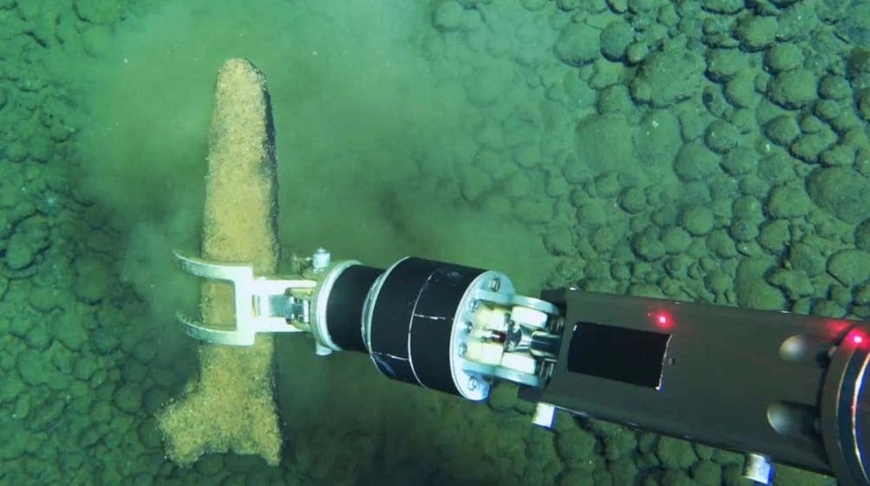 Aýstralııa jaǵalaýynda kıtterdiń úlken qorymy tabyldy